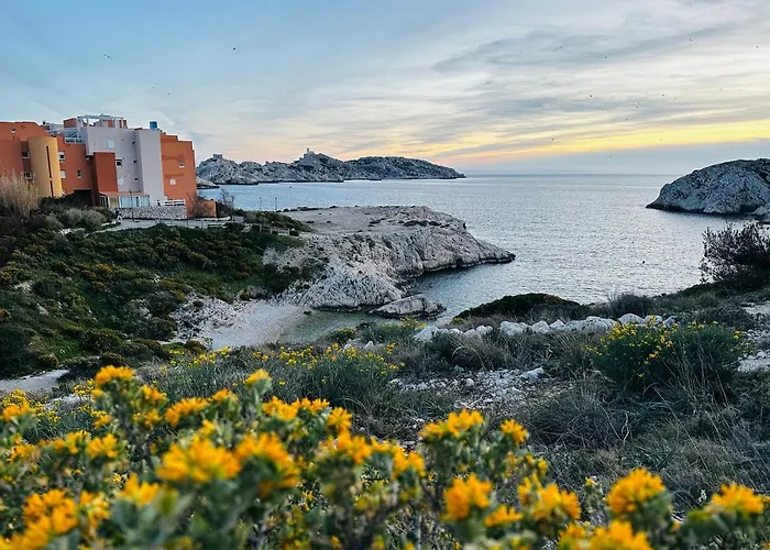 La Daurade du FRIOUL - Marseille - Frioul