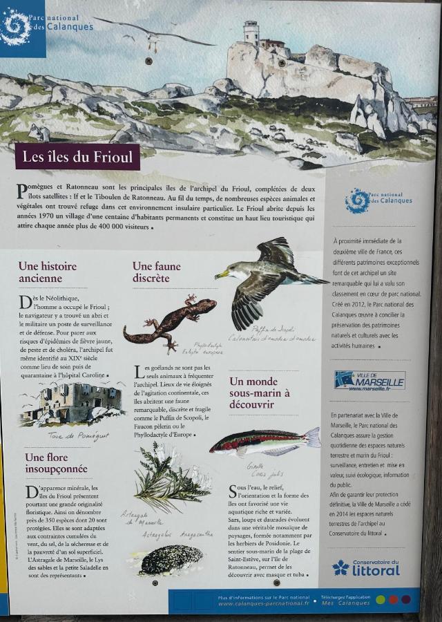 La Daurade Du Frioul - - Frioul Appartement